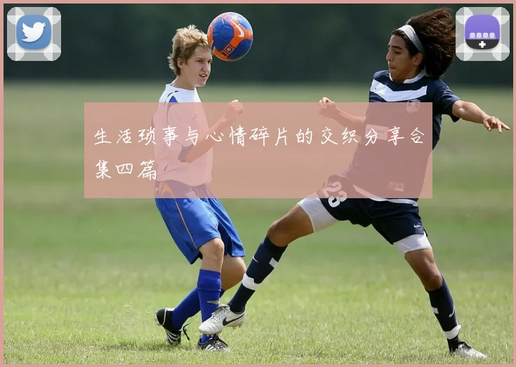 生活琐事与心情碎片的交织分享合集四篇