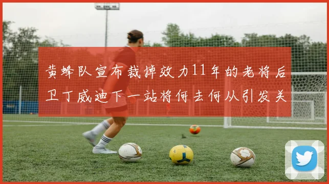 黄蜂队宣布裁掉效力11年的老将后卫丁威迪下一站将何去何从引发关注