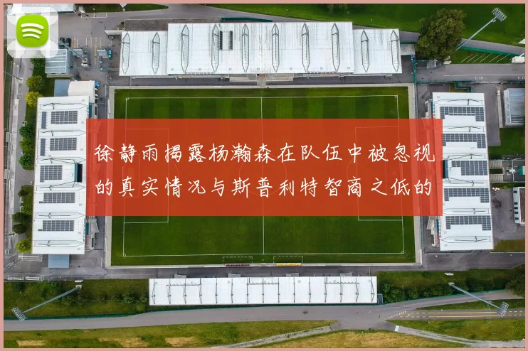 徐静雨揭露杨瀚森在队伍中被忽视的真实情况与斯普利特智商之低的尴尬真相